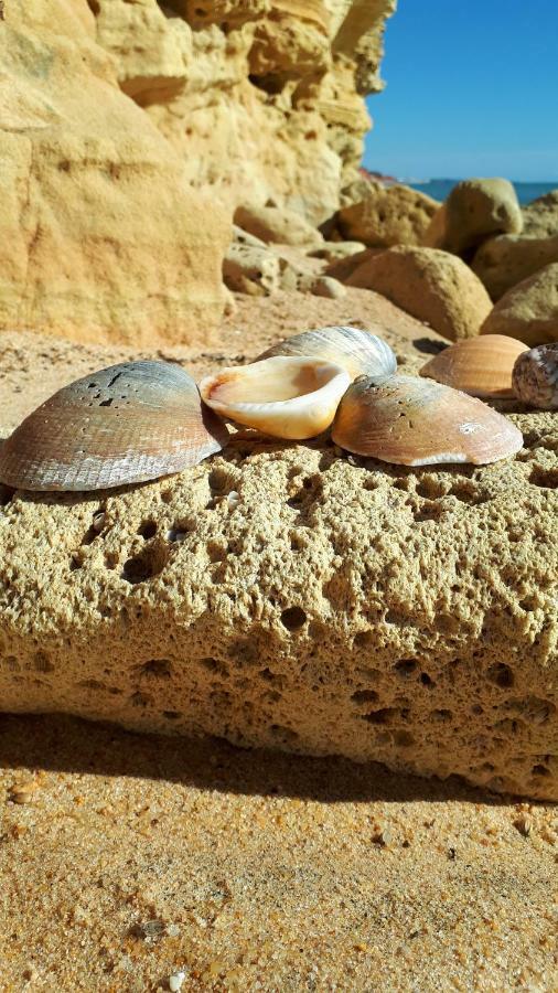 Olhos Do Mar Albufeira Daire Dış mekan fotoğraf